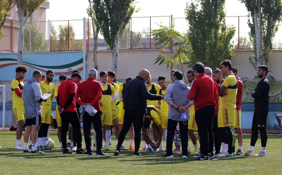 سجاد سیاح، مدیرعامل جدید باشگاه تراکتور شد