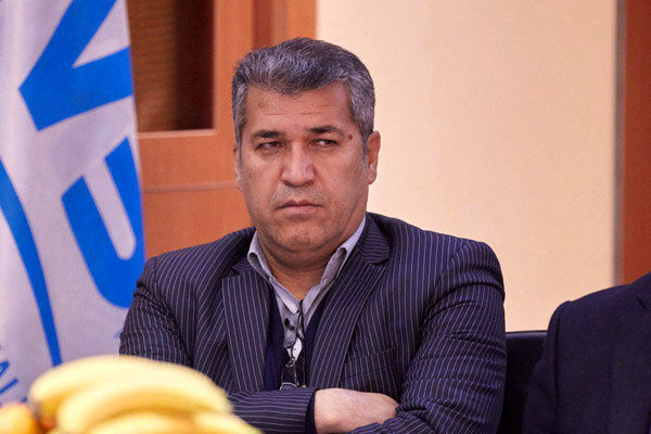 حرفهای انصاریفرد تصورات شخصیاش است