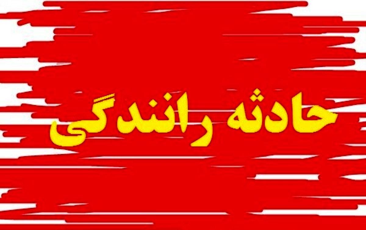 تصادف ترسناک و سقوط ۲۰۶ از ارتفاع |تصاویر